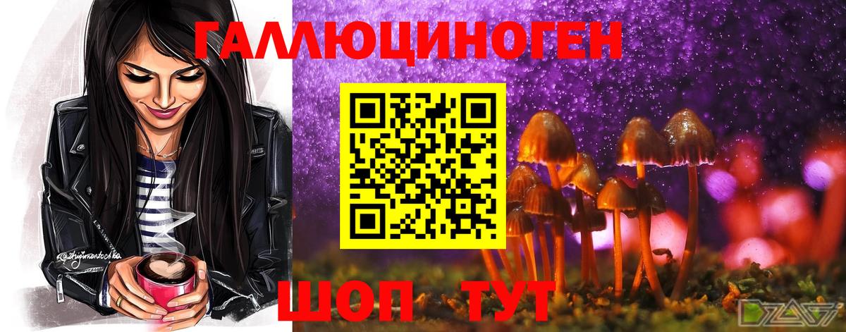 Галлюциногенные грибы GOLDEN TEACHER  Вход с VPN  Томск  Галлюциногенные грибы мухоморы 