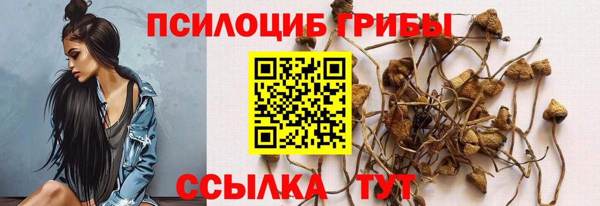 Псилоцибиновые грибы GOLDEN TEACHER Томск